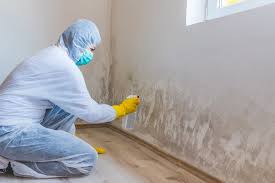 Best Mold Removal for HVAC Installations  in Saginaw, MI