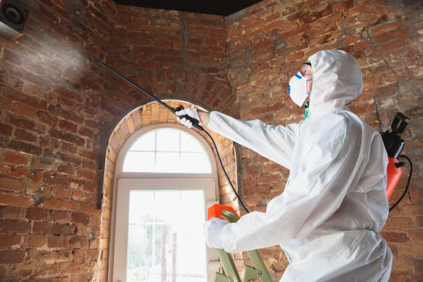 Best Mold Prevention Services  in Saginaw, MI